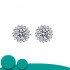 Stud Earrings