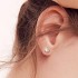 Stud Earrings