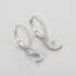 Hoop Diamond Earrings